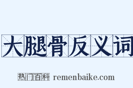 大腿骨反义词是什么意思的图片